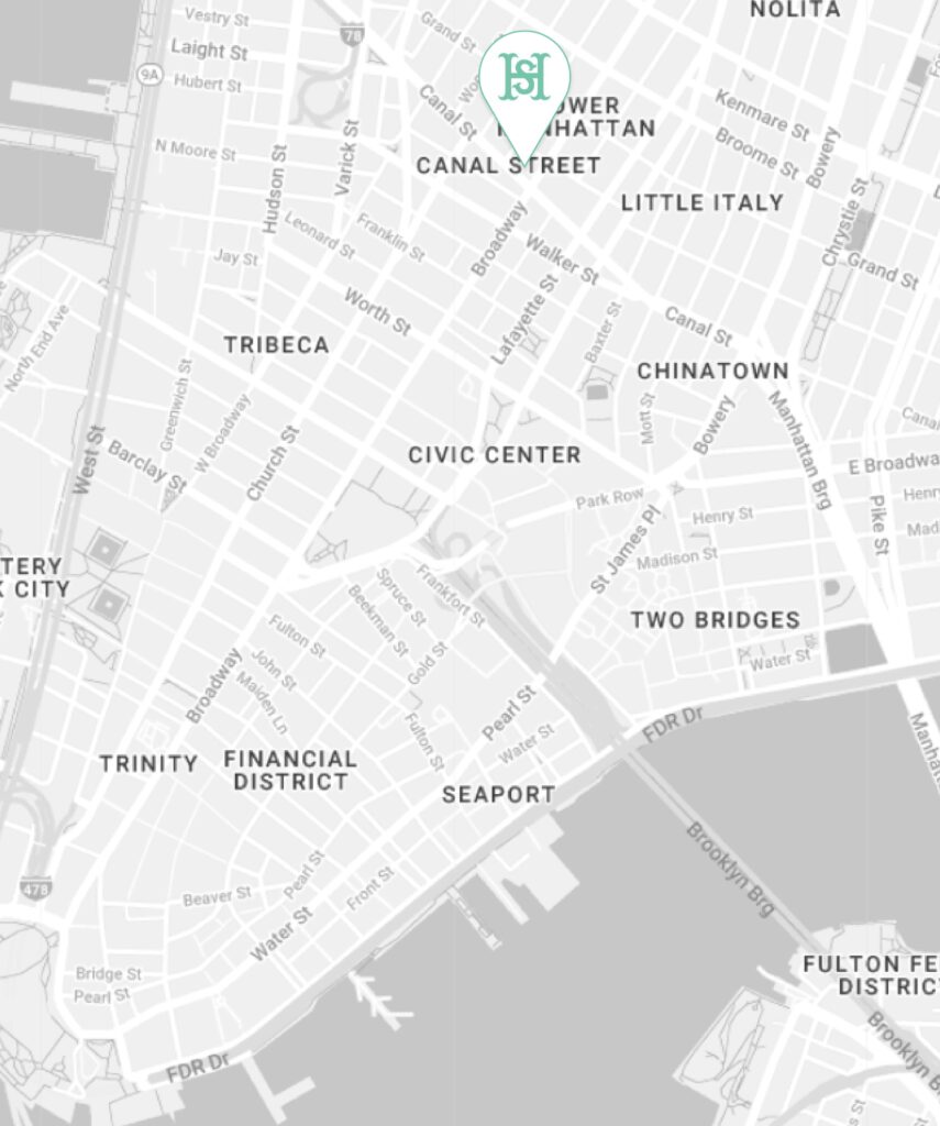 partial map of lower Manhattan NY
